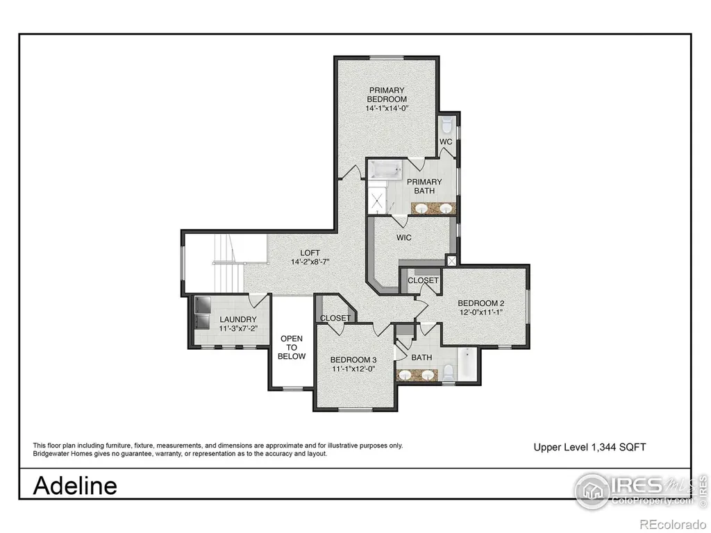 5836 Gianna Drive Timnath CO 80547