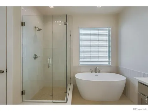 1829 Flourish Drive Windsor CO 80550