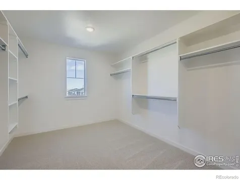 1833 Flourish Drive Windsor CO 80550