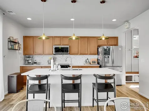 2545 Villageview Lane Castle Rock CO 80104