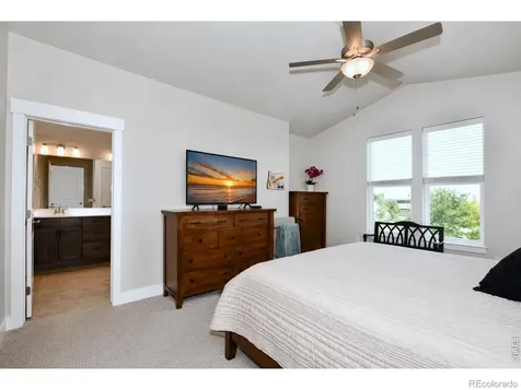 6245 Vernazza Way Windsor CO 80550