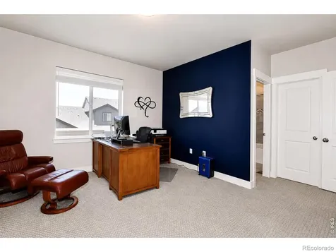 6245 Vernazza Way Windsor CO 80550
