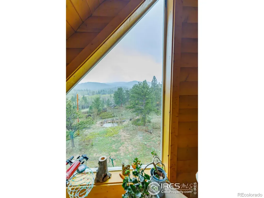 311 Chiricahua Circle Red Feather Lakes CO 80545