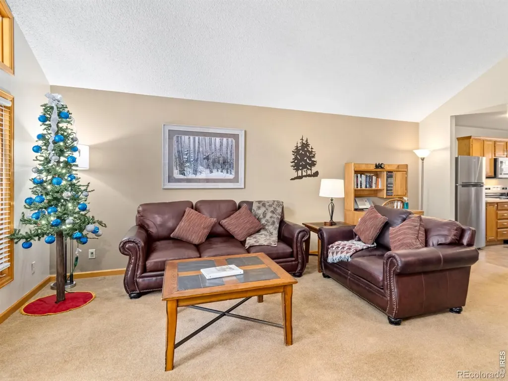 525 Fall River Lane Estes Park CO 80517