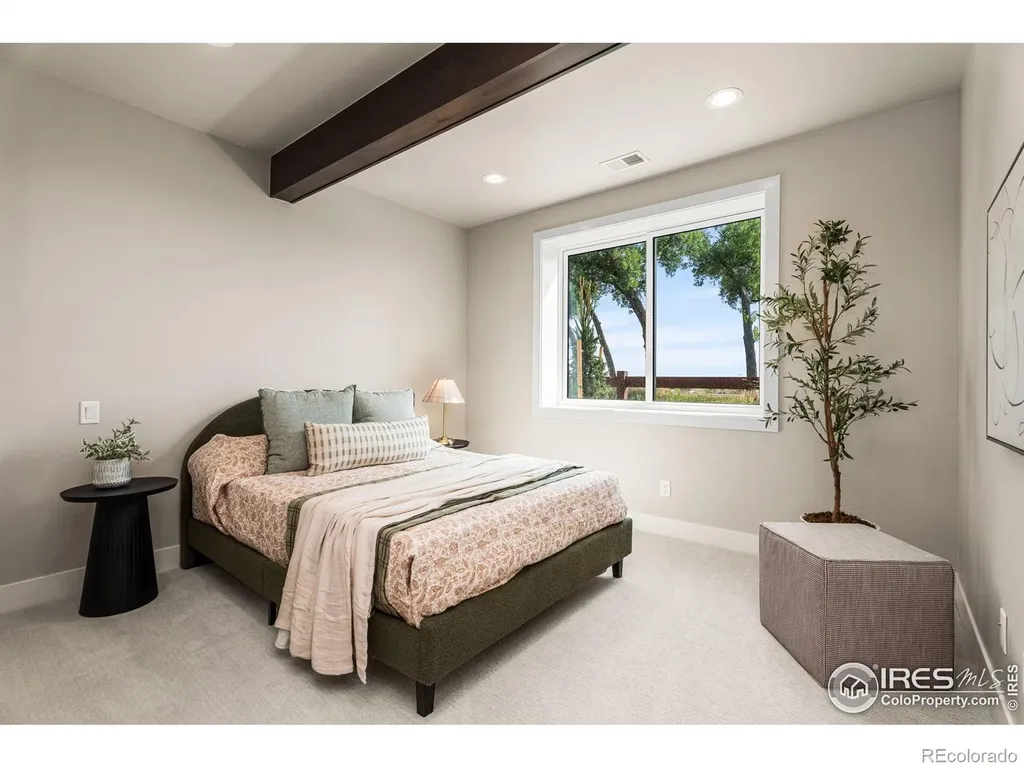 6719 Morning Song Court Timnath CO 80547