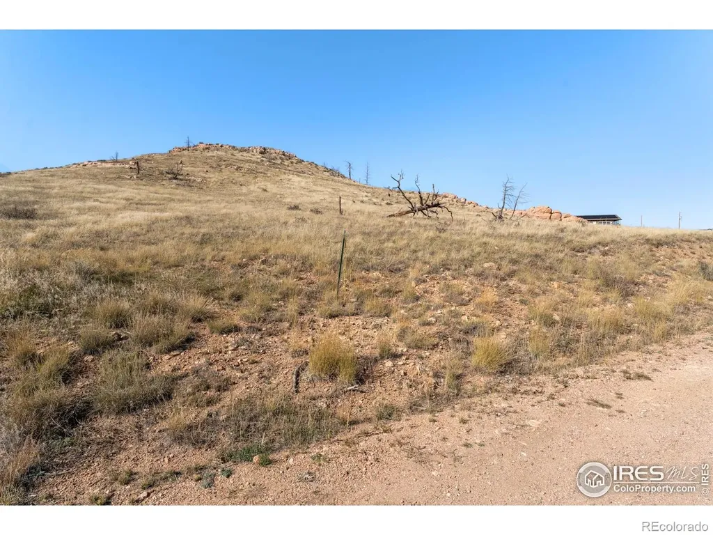 743 Horse Mountain Drive Livermore CO 80536