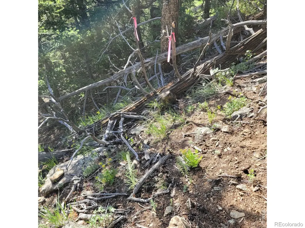 0 Gold Trail Boulder CO 80302