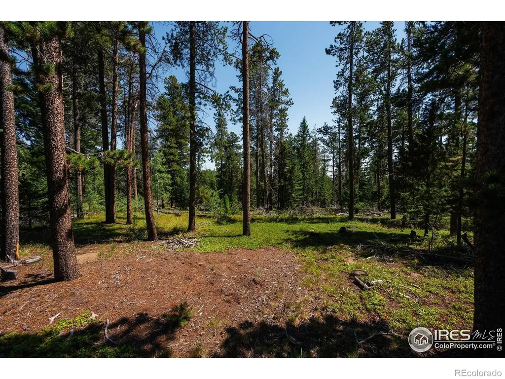 122 Elk Way Drake CO 80515