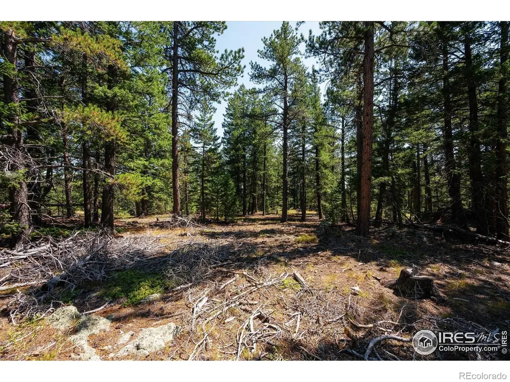 122 Elk Way Drake CO 80515