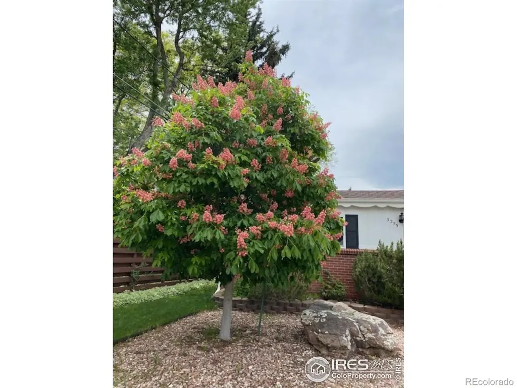 3255 20th Street Boulder CO 80304