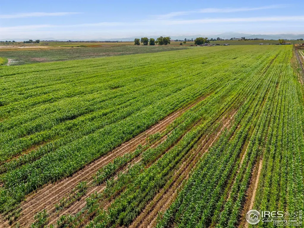 7824 E County Road 16 Johnstown CO 80534
