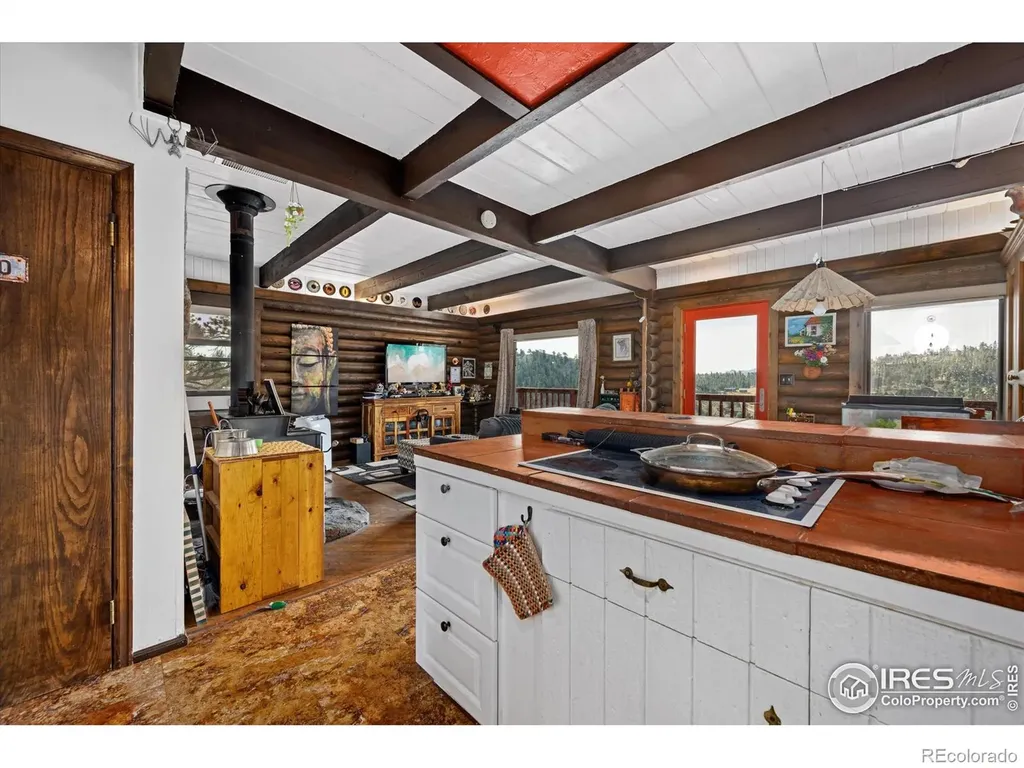 23 E Quandary Court Livermore CO 80536