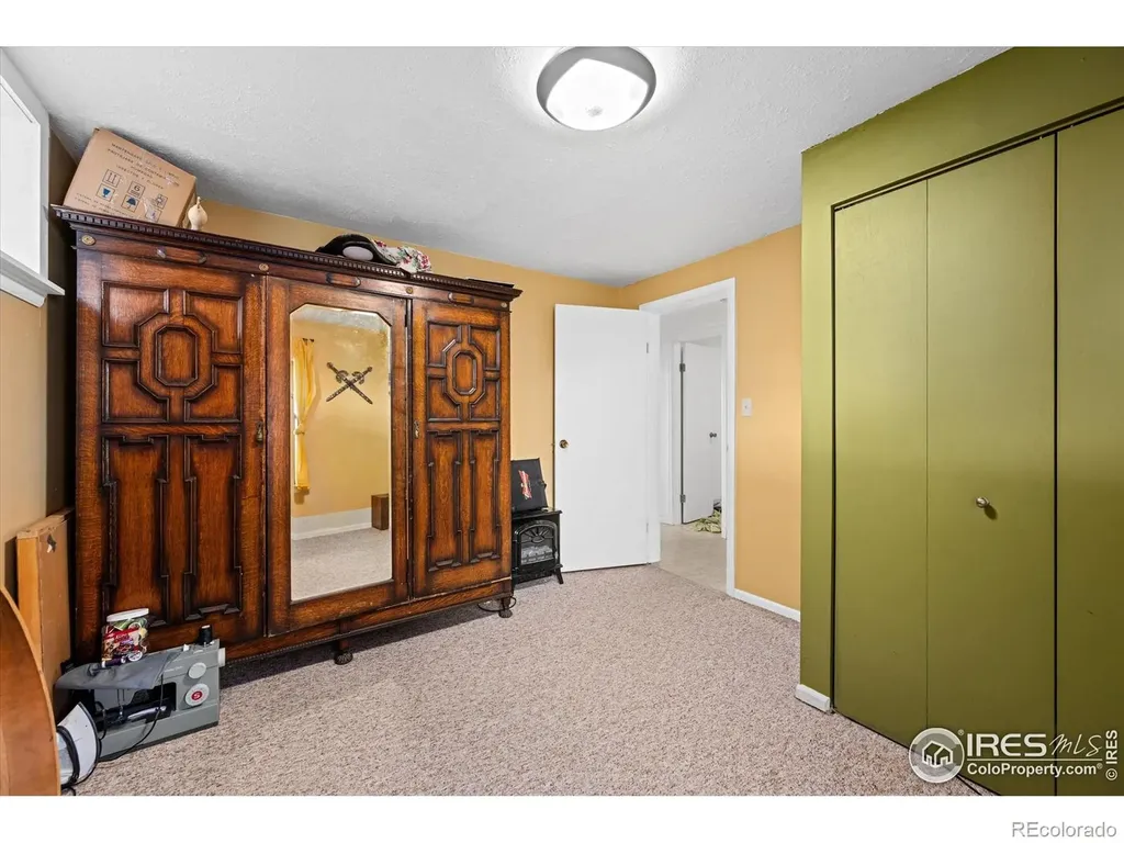 23 E Quandary Court Livermore CO 80536