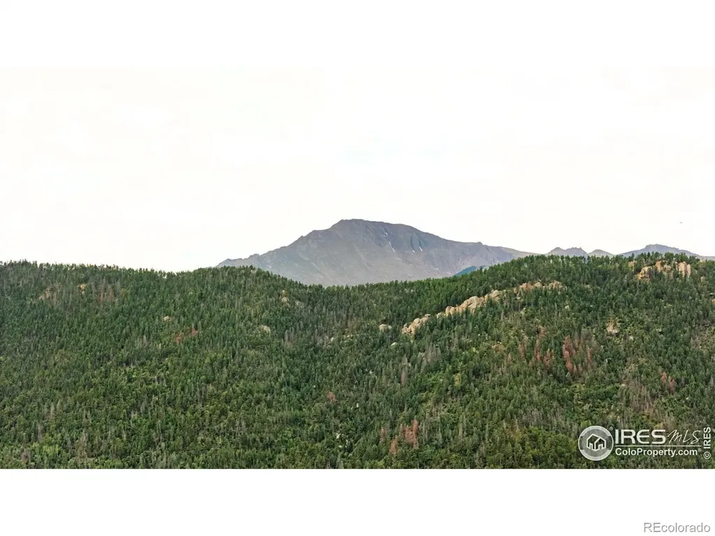 9150 W Highway 24 Cascade CO 80809