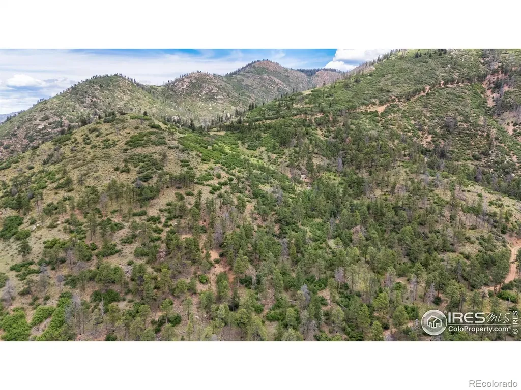 9150 W Highway 24 Cascade CO 80809