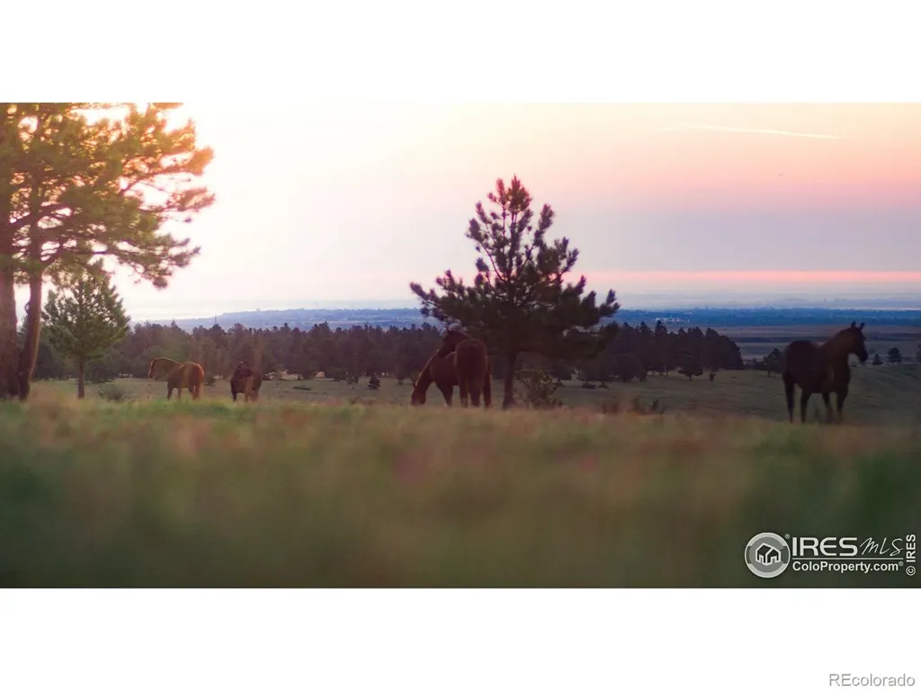 11919 State Hwy 93, Lot 2 Boulder CO 80303