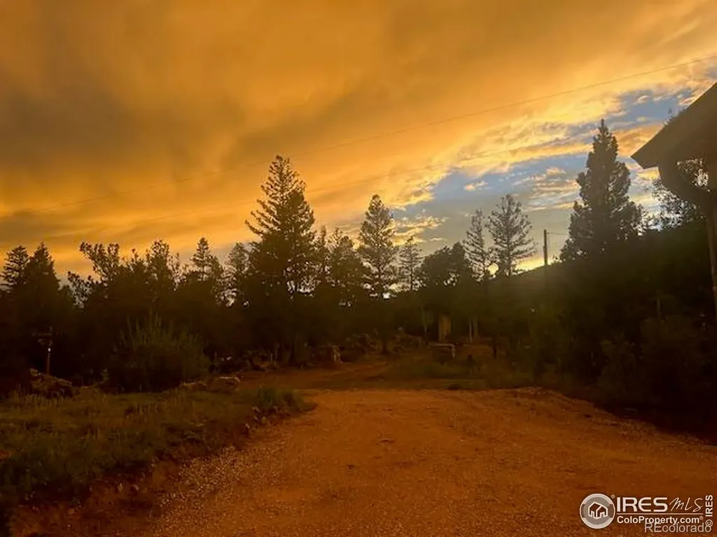 62 Spokane Court Red Feather Lakes CO 80545