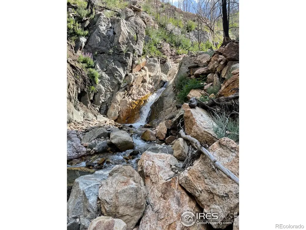 37797 W Highway 14 Bellvue CO 80512
