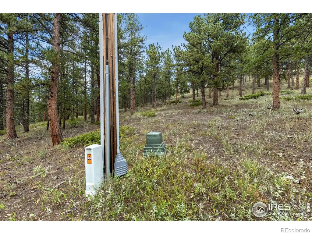 357 Big John Road Lyons CO 80540