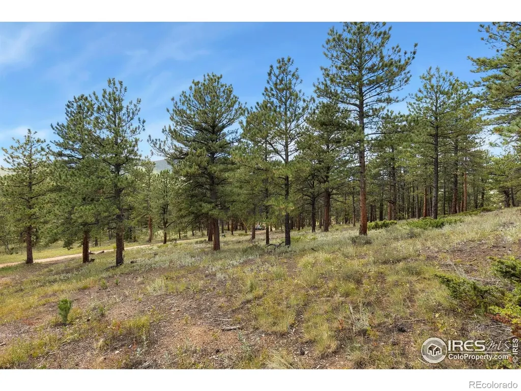 357 Big John Road Lyons CO 80540