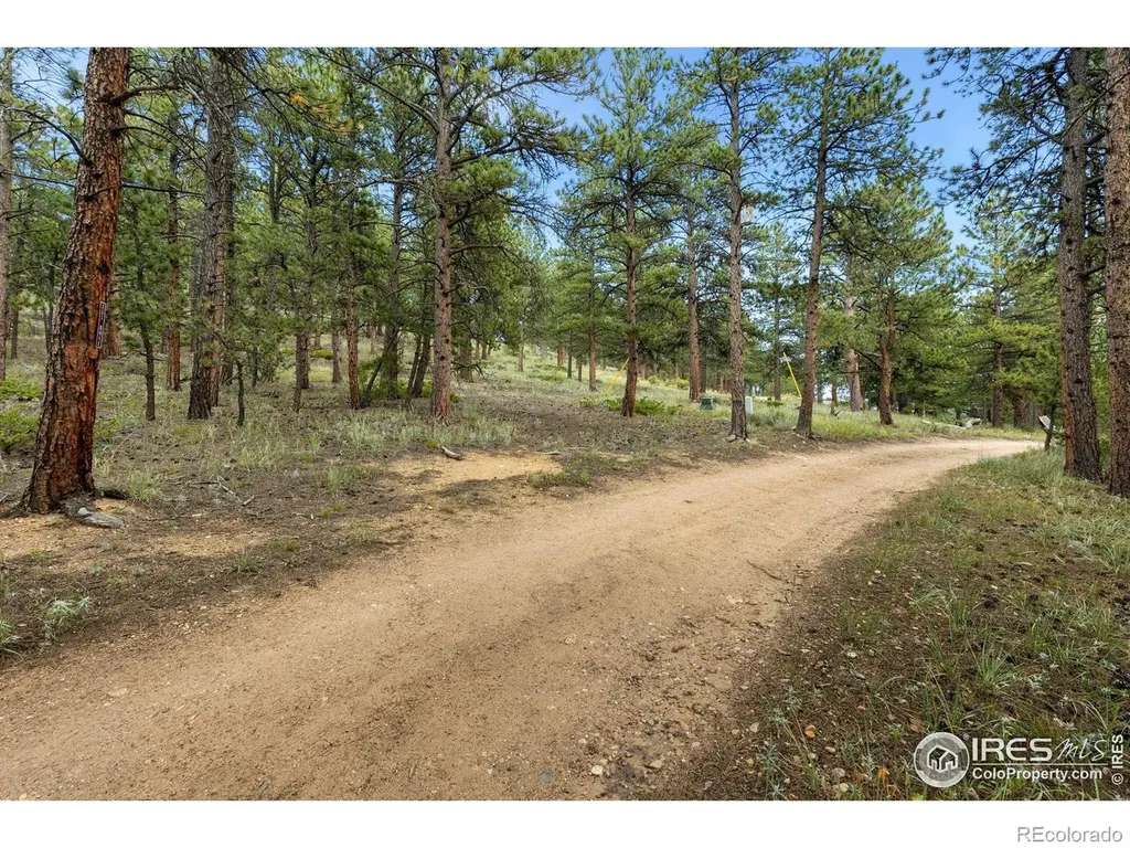 357 Big John Road Lyons CO 80540