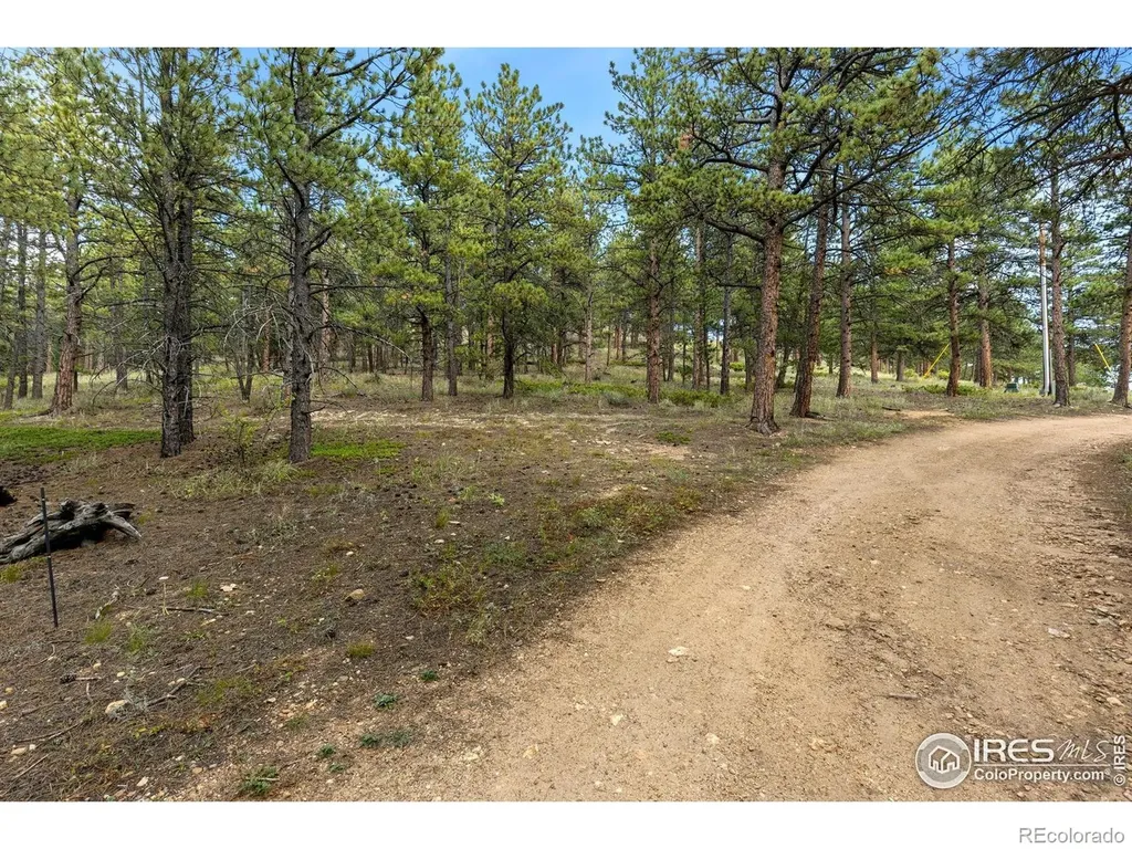 357 Big John Road Lyons CO 80540
