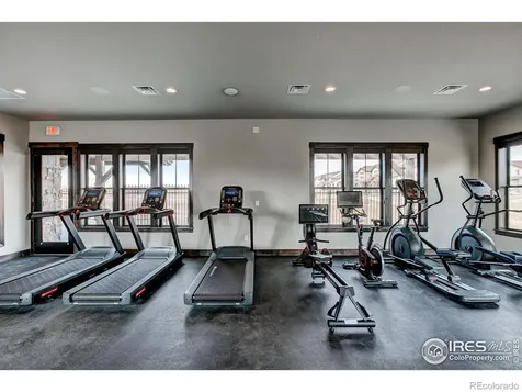 6227 Vernazza Way Windsor CO 80550