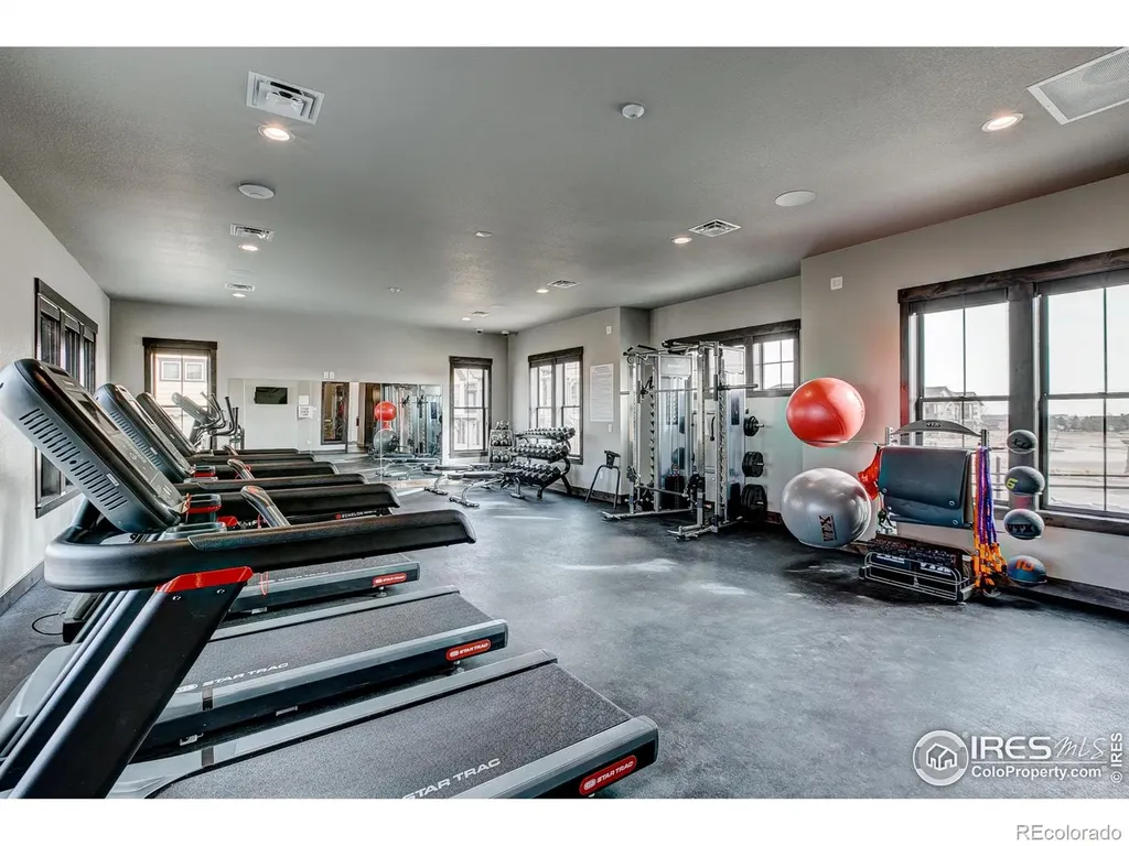 6226 Vernazza Way Windsor CO 80550