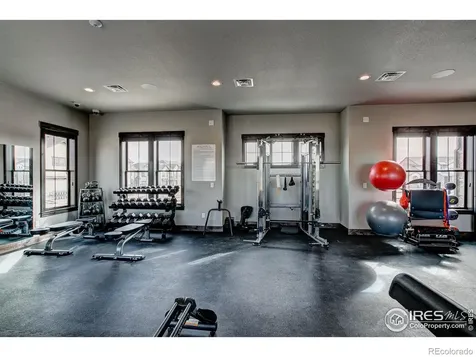 6226 Vernazza Way Windsor CO 80550