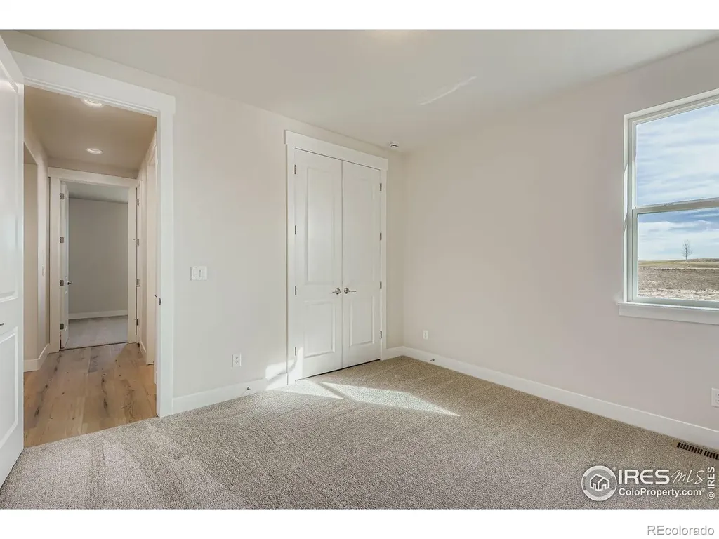 1825 Flourish Drive Windsor CO 80550