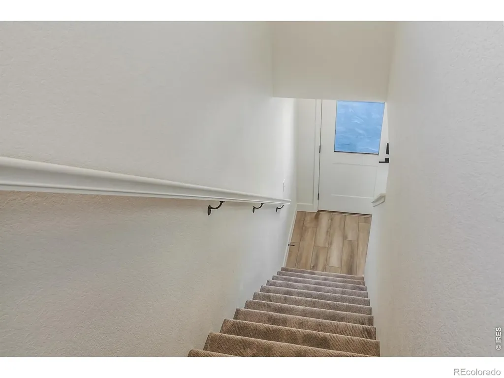 977 Trumpet Lane Windsor CO 80550