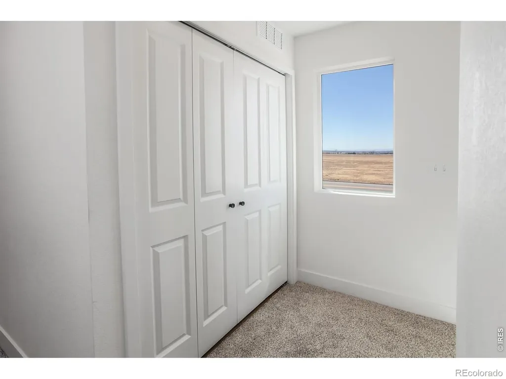 981 Trumpet Lane Windsor CO 80550