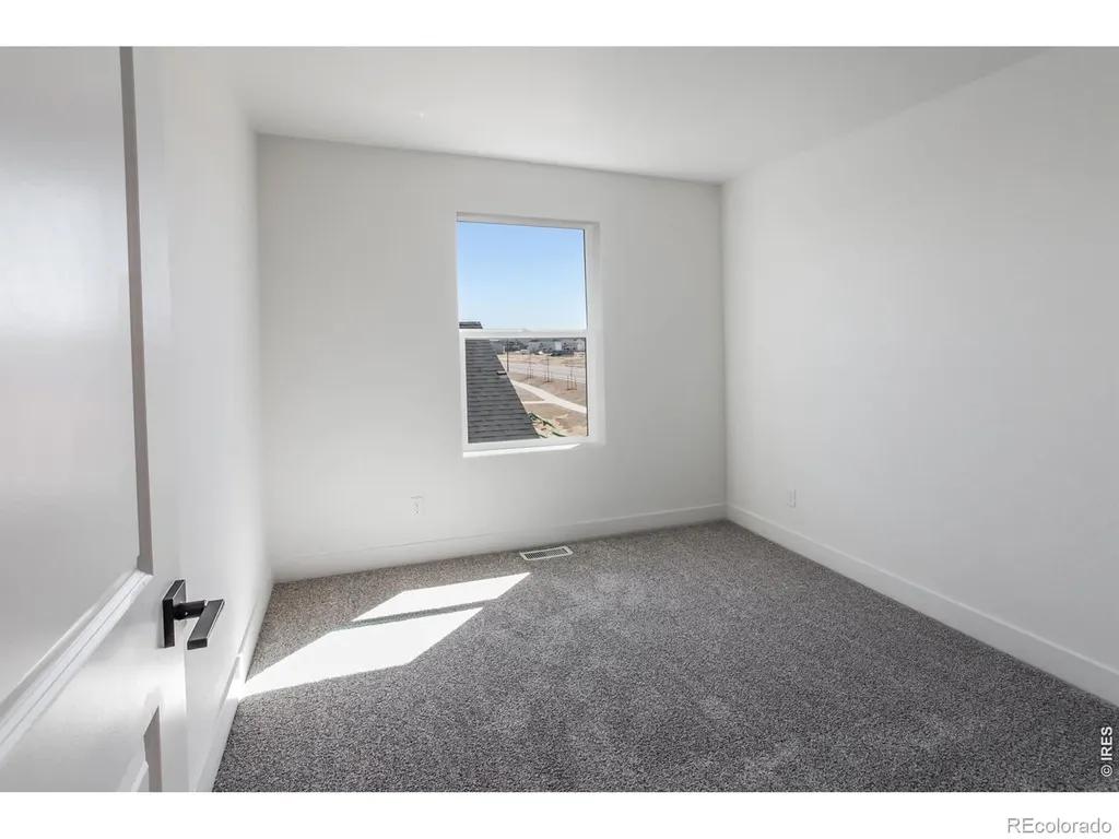 981 Trumpet Lane Windsor CO 80550