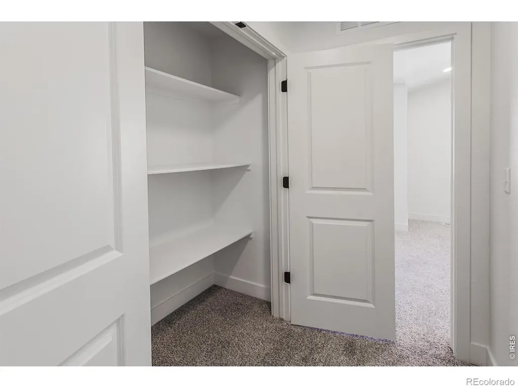 981 Trumpet Lane Windsor CO 80550