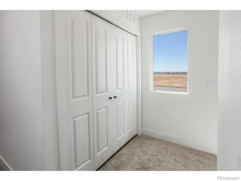 981 Trumpet Lane Windsor CO 80550
