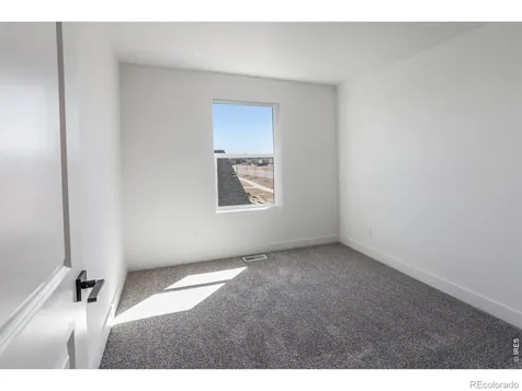 981 Trumpet Lane Windsor CO 80550
