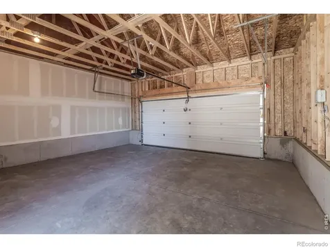 981 Trumpet Lane Windsor CO 80550