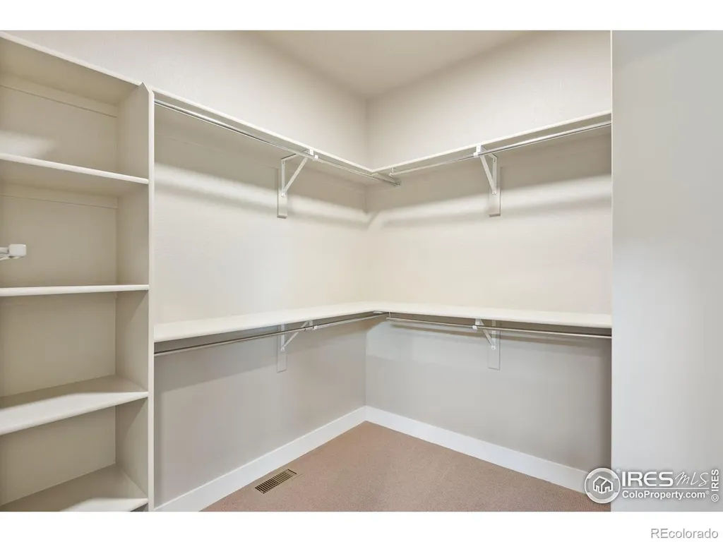1168 Blue Agave Court Loveland CO 80537