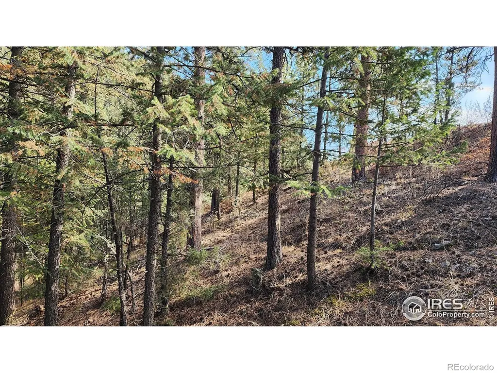 84 Copper Hill Road Glen Haven CO 80532