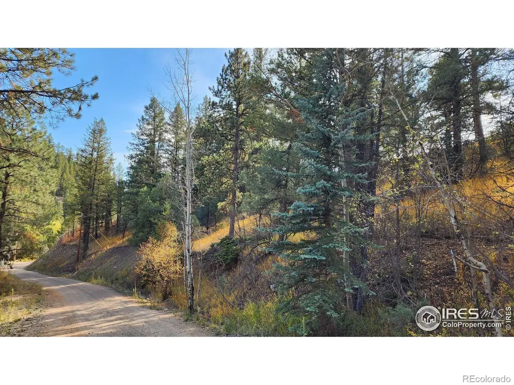 84 Copper Hill Road Glen Haven CO 80532