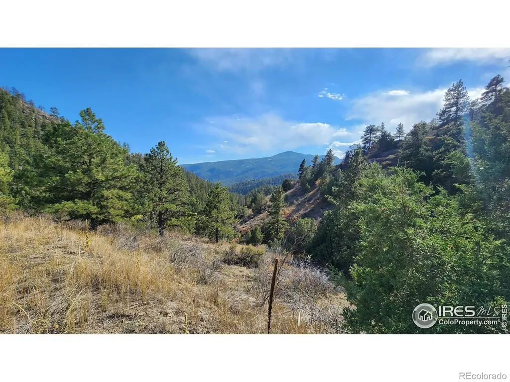 84 Copper Hill Road Glen Haven CO 80532
