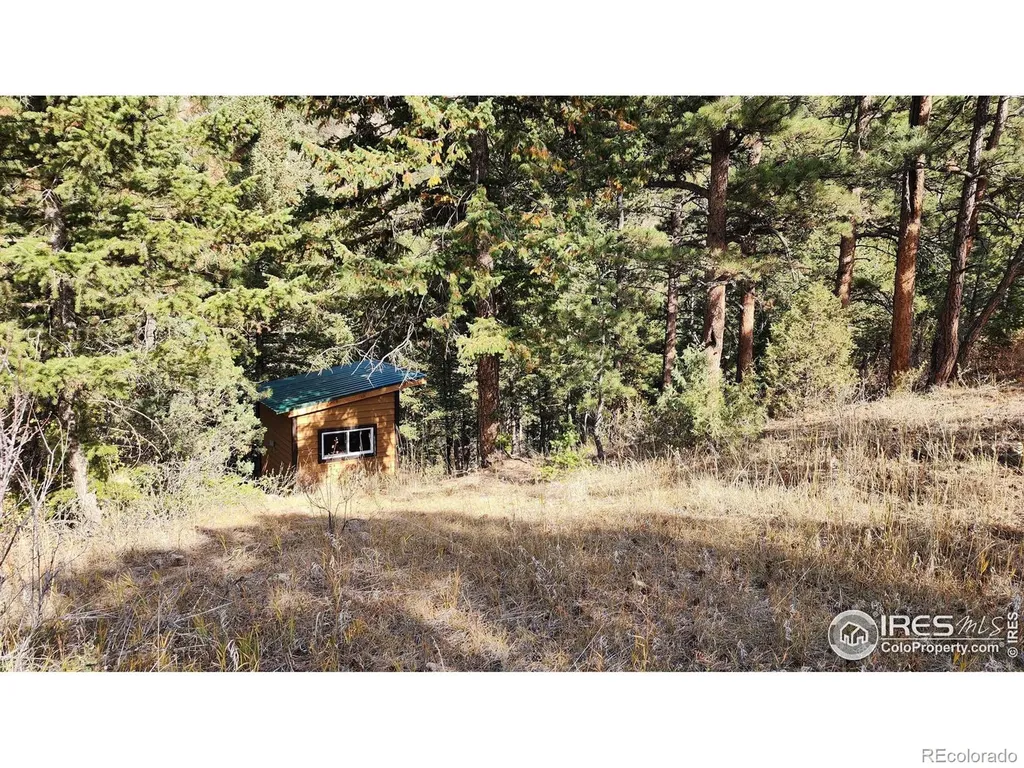 84 Copper Hill Road Glen Haven CO 80532