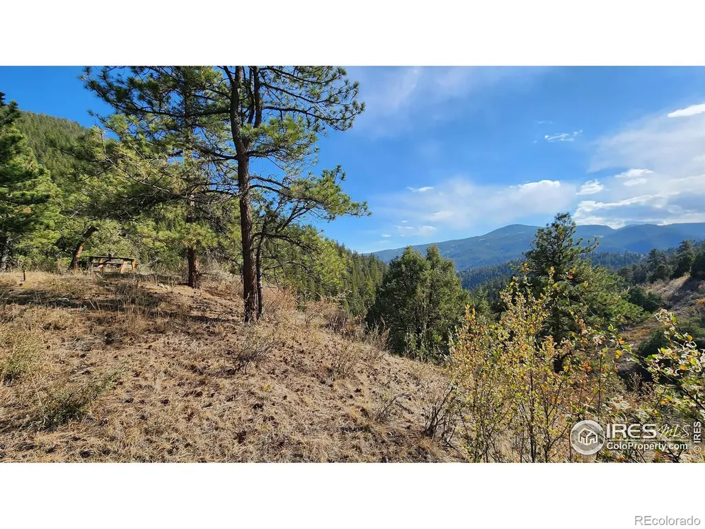 84 Copper Hill Road Glen Haven CO 80532