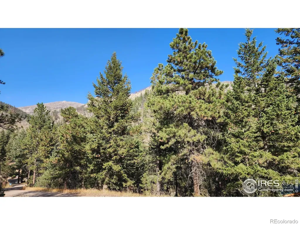 84 Copper Hill Road Glen Haven CO 80532