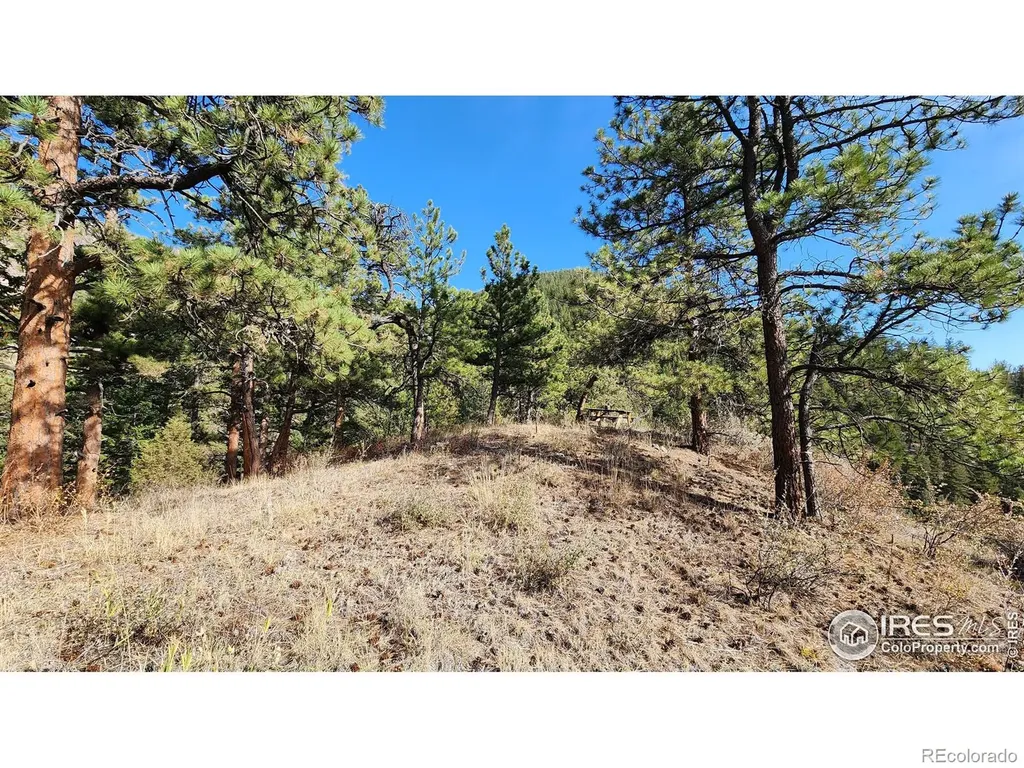 84 Copper Hill Road Glen Haven CO 80532
