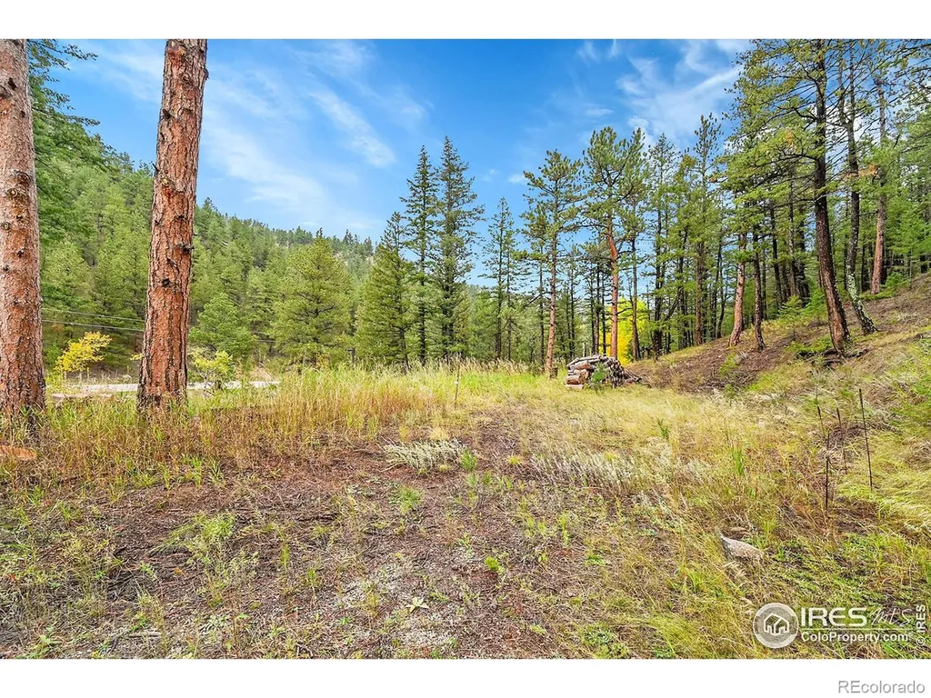 5567 Lefthand Canyon Drive Jamestown CO 80455