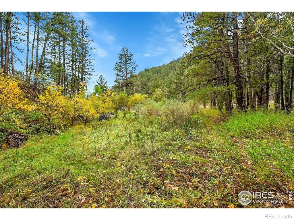 5567 Lefthand Canyon Drive Jamestown CO 80455