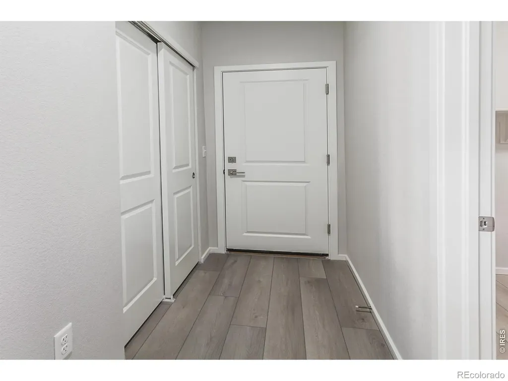 774 Trumpet Court Windsor CO 80550