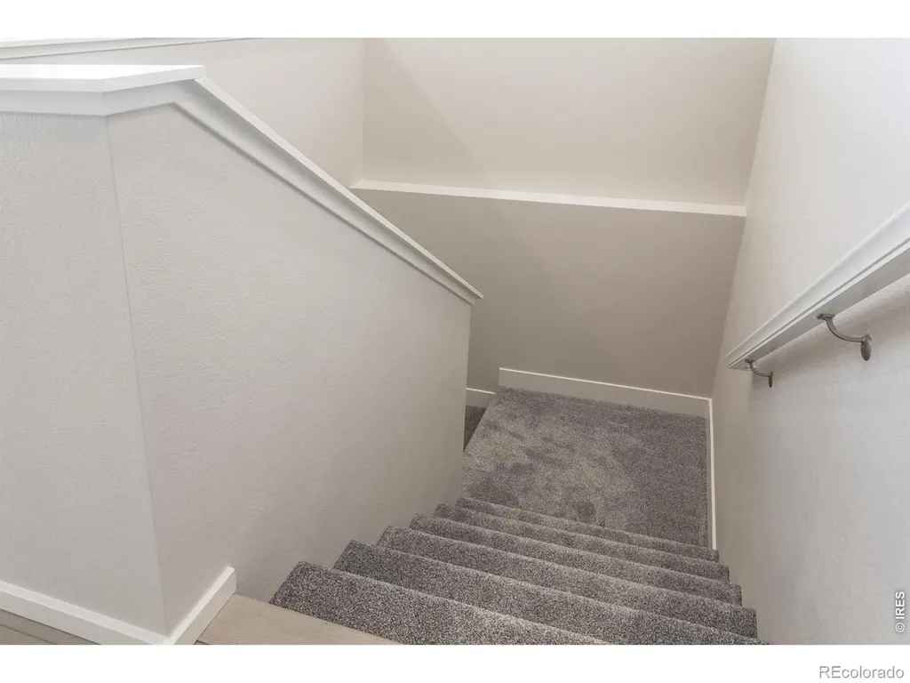 774 Trumpet Court Windsor CO 80550