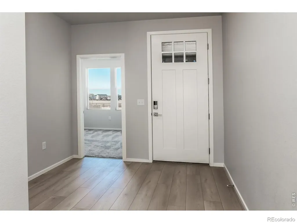 774 Trumpet Court Windsor CO 80550